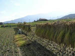 PA110176.jpg