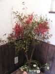PC290151.JPG
