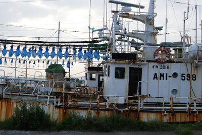 cf72372c.JPG
