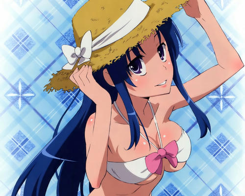 とらドラ！
