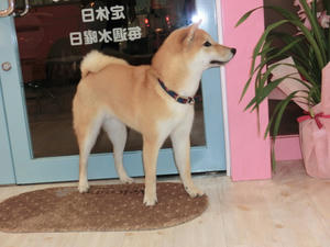 CIMG0599.JPG