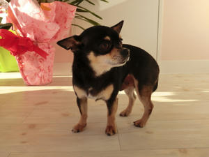CIMG0651.JPG