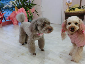 CIMG0689.JPG