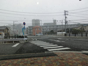 CIMG0805.JPG