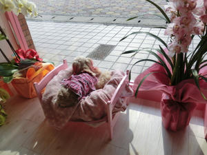 CIMG0859.JPG
