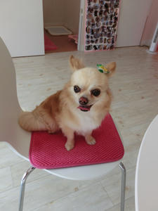 CIMG8447.JPG