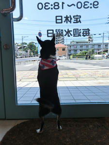 CIMG0045.JPG