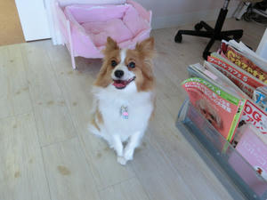 CIMG0245.JPG