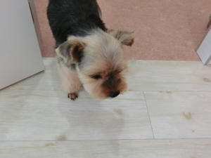 CIMG0619.JPG