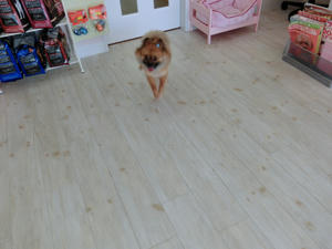 CIMG0679.JPG