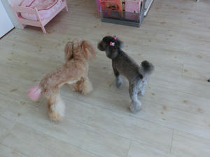 CIMG0779.JPG