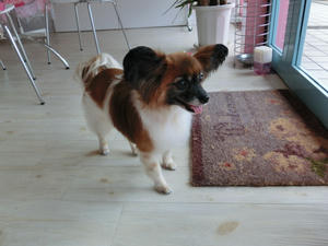 CIMG0782.JPG