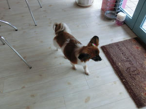 CIMG0784.JPG