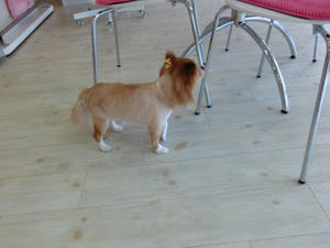 CIMG0844.JPG