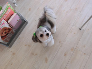 CIMG0107.JPG