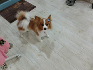 CIMG0374.JPG