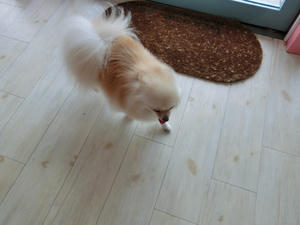CIMG0794.JPG
