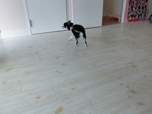 CIMG0907.JPG