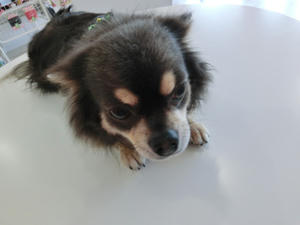 CIMG0738.JPG