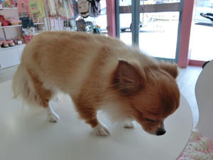 CIMG0741.JPG