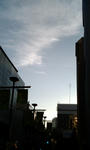 2009_08_15_001.jpg