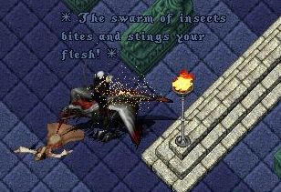 512ce33a.jpeg
