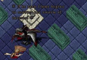22d7c885.jpeg