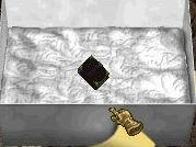 d356a020.jpeg