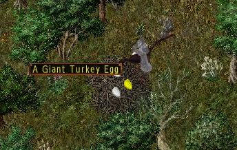 c2cb604d.jpeg