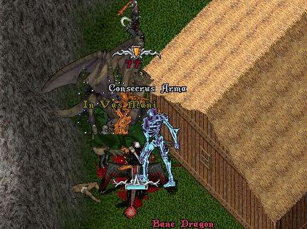 a3aeafd9.jpeg