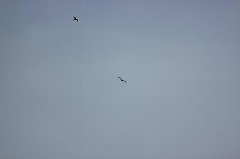 IMG_0011.JPG