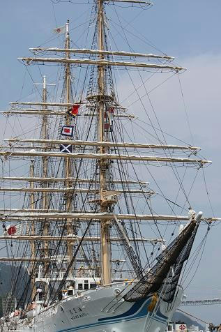 11b6452c.JPG