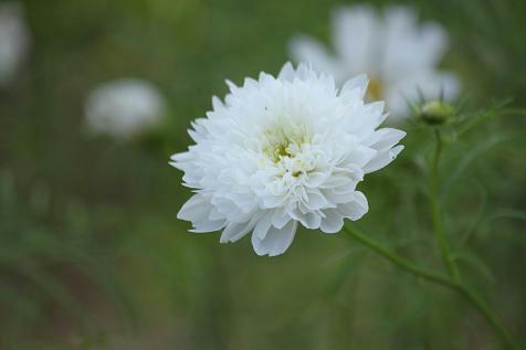 a80c7695.JPG