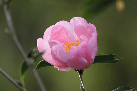 93061f4c.JPG