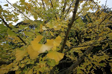 f526628e.JPG
