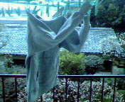 200902221541000.jpg