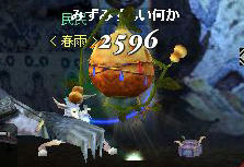 mizumizupet.jpg