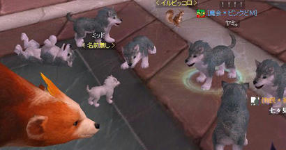 inu.jpg