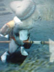 a71126fcjpeg