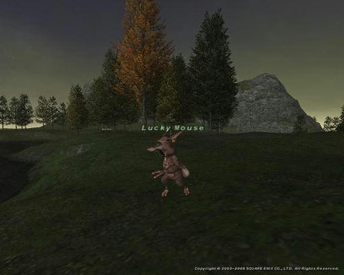 20080101075239.jpg