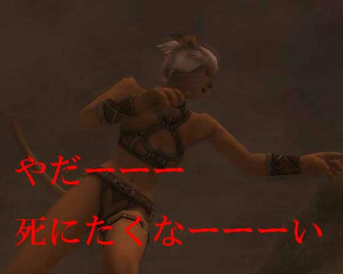 071130e.jpg