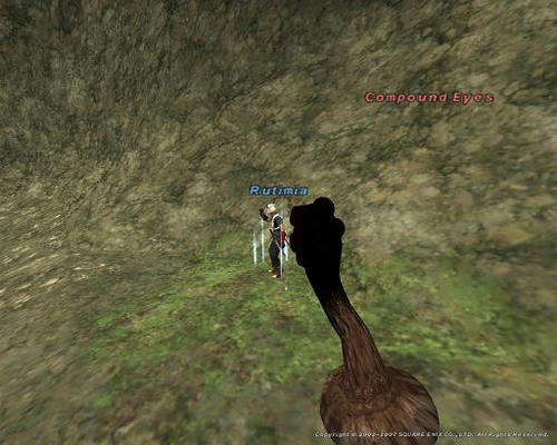 20071018232903.jpg
