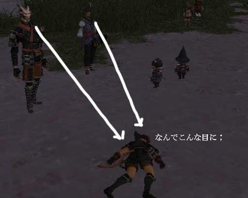 070916d.jpg