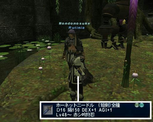 070508c.jpg