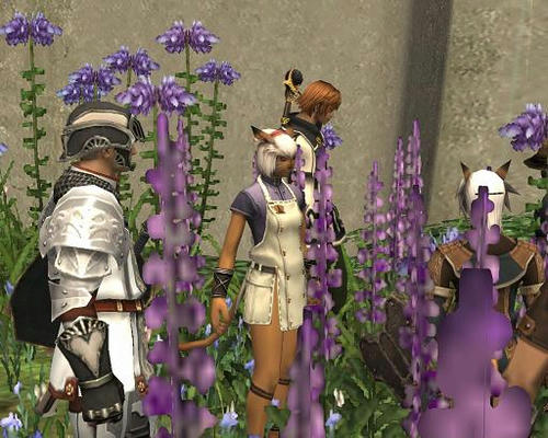 070225o.jpg