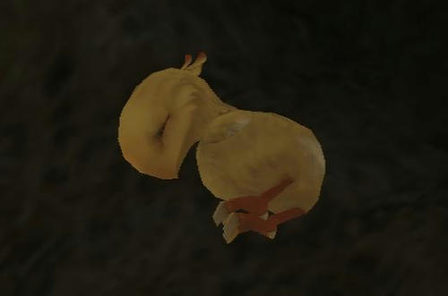 faira.jpg