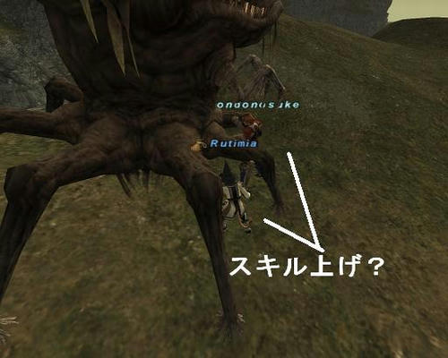 1202a.jpg
