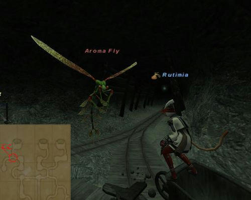 1125c.jpg