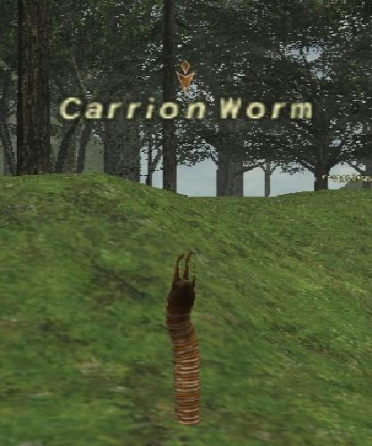 carrionwarm3.jpg