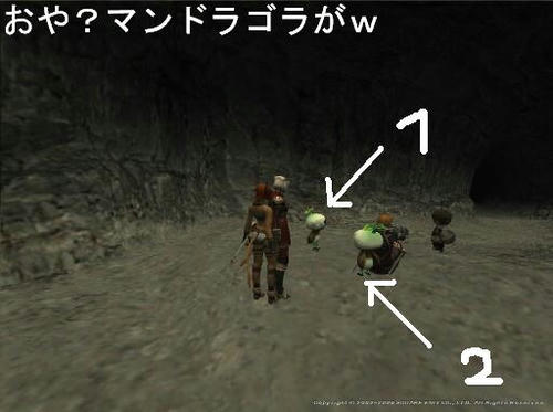 Rut061005223806a.jpg
